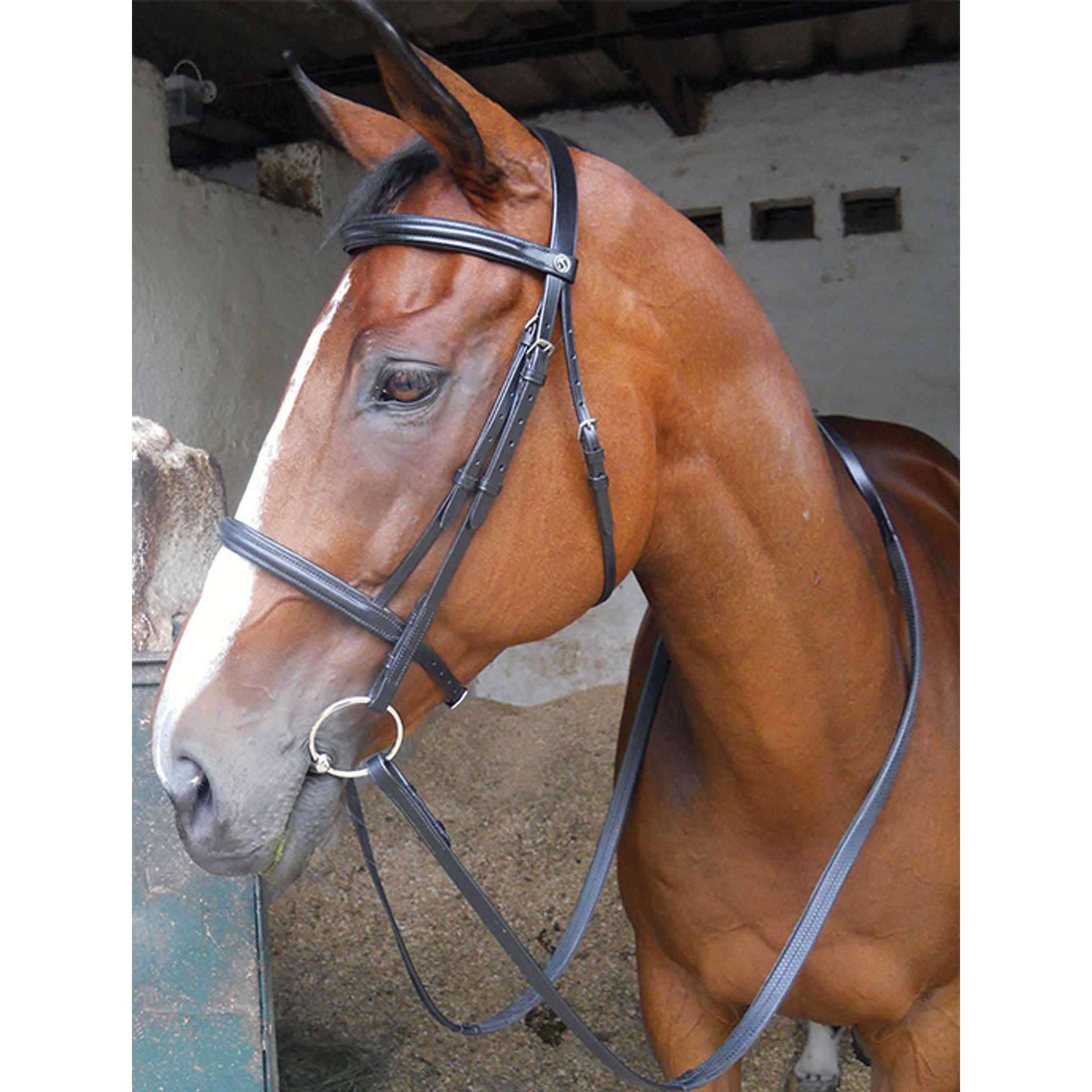 Bridle Caveson Raised & Padded Solo